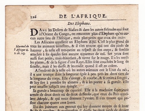 Gravure XVIIe São Salvador Congo M'banza Kongo Afrique Africa Angola 1683 - Picture 10 of 11