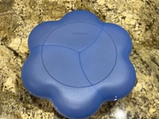TUPPERWARE BLUE CHIP AND DIP