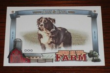 2020 Topps Allen & Ginter Down On The Farm Dog Card #DF-D