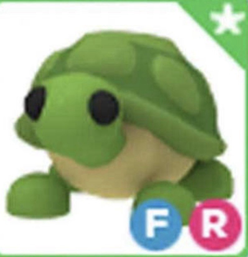 FR Turtle - Adopt Me!
