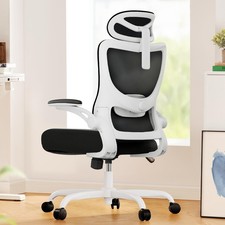 Ergonomic Office Chair: Office Desk Chair with High Back Mesh and Adjustable ...