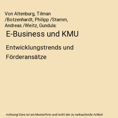E-Business und KMU: Entwicklungstrends und Förderansätze: Entwicklungstrends u