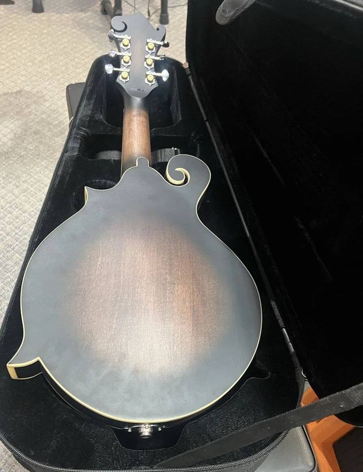 Goldtone F-6 Long Scale Manditar Cutaway Mando-Guitar w/Case - Image 4 of 4