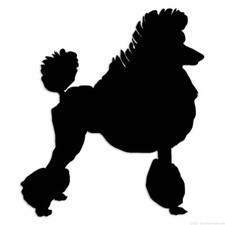 Poodle Dog - Decal Sticker - Multiple Colors  Sizes - ebn6558