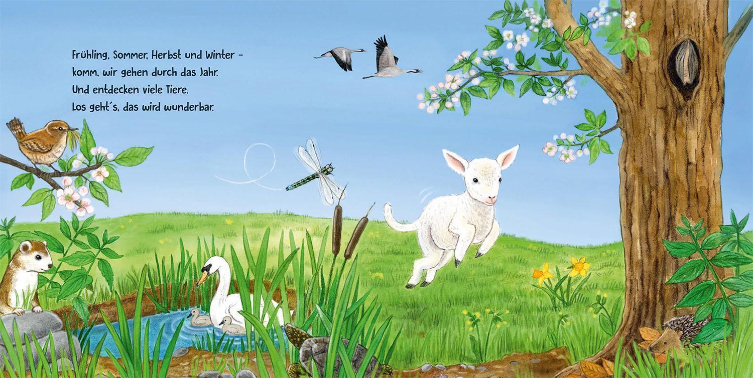 Thumbnail - Guck Mal. Frühling, Sommer, Herbst Und Winter | Lisa Apfelbacher (u.