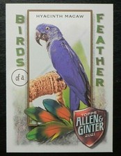 2021 Topps Allen Ginter Birds of a Feather BOF-6 Hyacinth Macaw