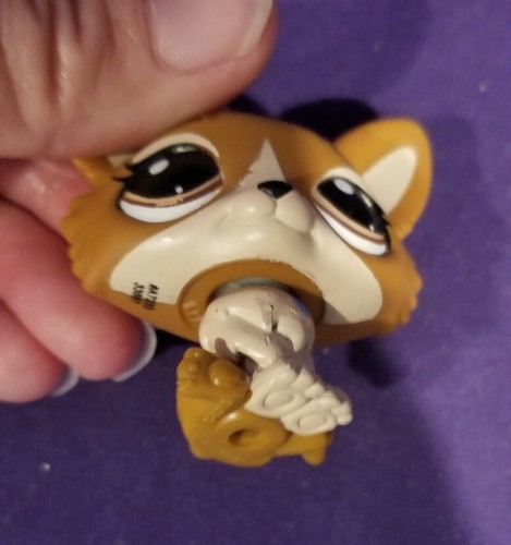 Authentische Littlest Pet Shop hellbraun weiß CORGI 3567 braune Augen SELTEN Hundeblau - Bild 8 von 8