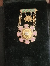 Daughters of Rebekah IOOF 25 Year Service Medal Brooch Pin New York