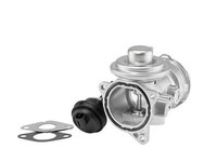 BorgWarner 7372D Agr-Ventil FüR Audi Ford Seat Skoda VW