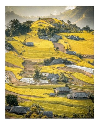 Atemberaubende Landschaft mit gelben Feldern Wandkunst Landschaft Natu