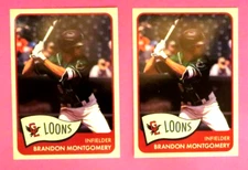 2 - 2018 Choice, Great Lakes Loons - BRANDON MONTGOMERY