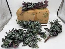 NIB Nearly Natural Wandering Jew Leaf Artificial Plant Set Of 4 Plastic Green