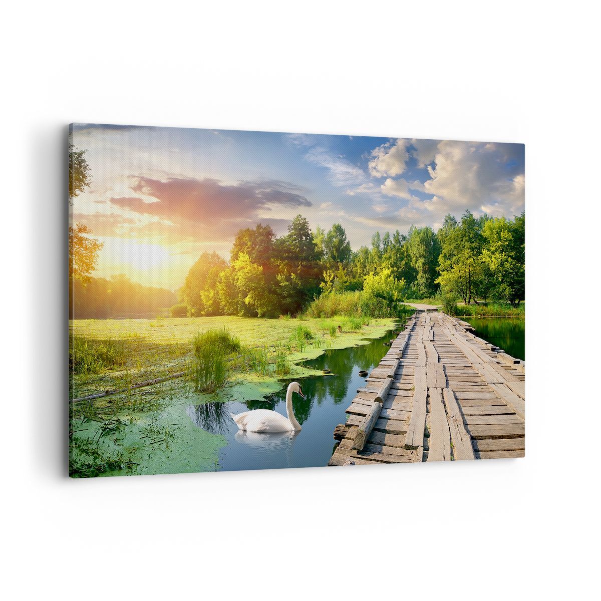 Quadro su Tela 100x70cm architettura lungomare Cigno Paesaggio Stampe Murale