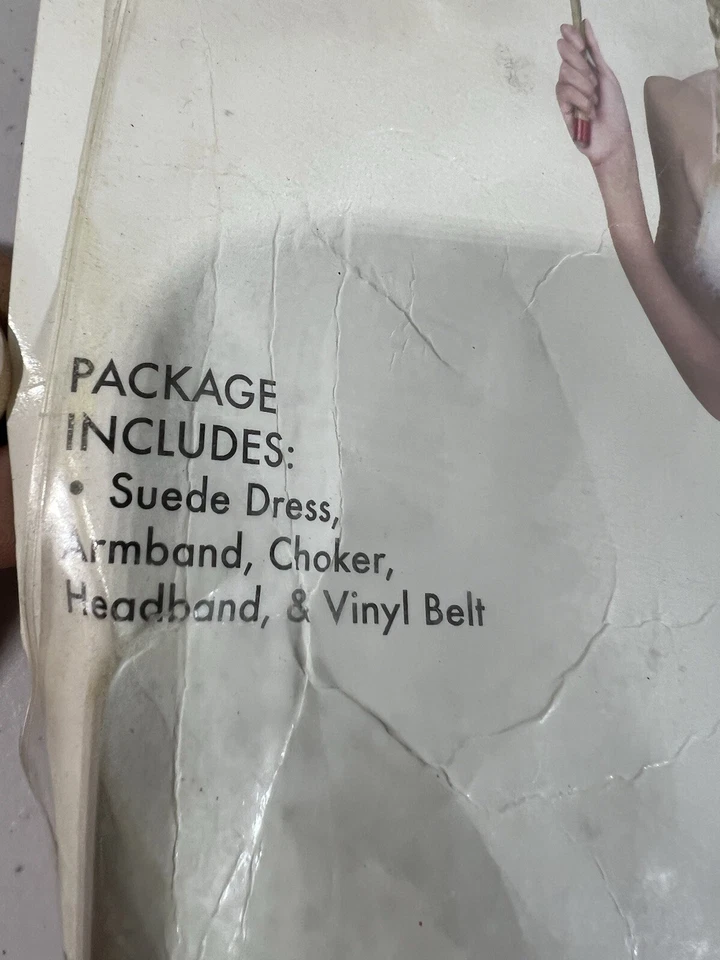 Disfraz de princesa india adulta dama gamuza mediana nativa americana Halloween Nuevo de Lote Antiguo Foto 4 de 4