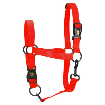 Excellent Horse Essential Halfter rot für Pferde, Nylon, Quick Release System