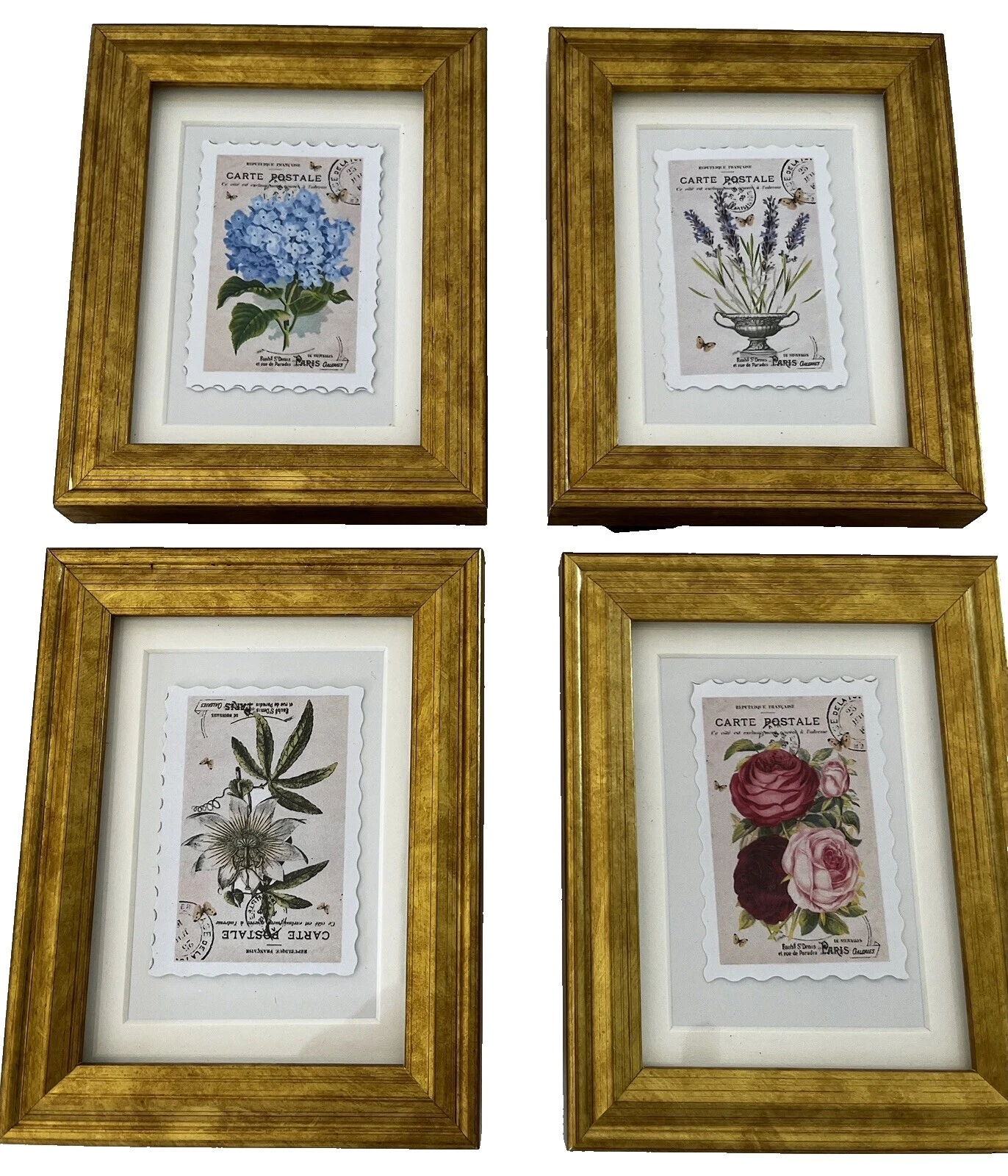 Impresiones artísticas botánico en miniatura