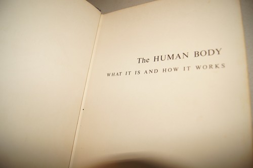The Human Body Illustrated Colorful Pullout Deluxe Golden Book 1959 1961 Vintage - Picture 8 of 17