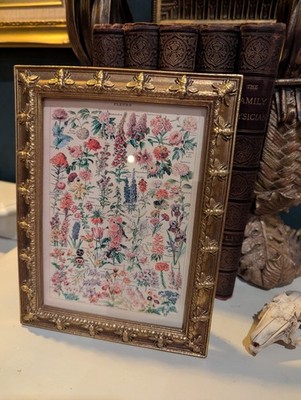 Fleurs Blumen Vintage Botanischer Druck Blumen Illustration gerahmtes Wandbild