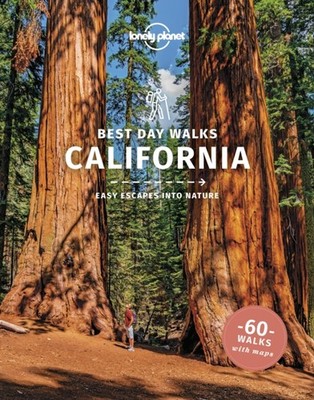 CALIFORNIA BEST DAY WALKS by Lonely Planet Paperback Self Help Business