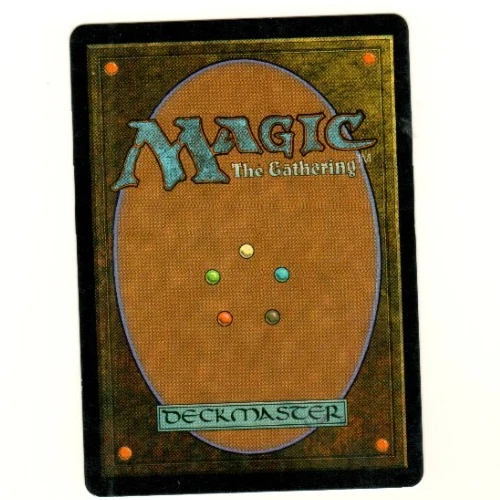 Swamp Zendikar #240/249 Chinese Zendikar Magic the Gathering Card - Image 4 of 4