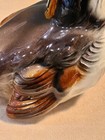 Bild 9 von 12