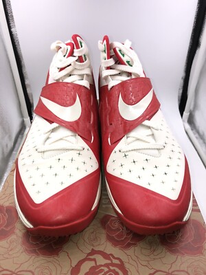 Nike CJ81 Trainer Max Sz DS 10.5 Rose Bowl Calvin Johnson White