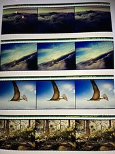 12 Dino In Flight   70mm IMAX Film Cells  Dinosaurs F 1-4