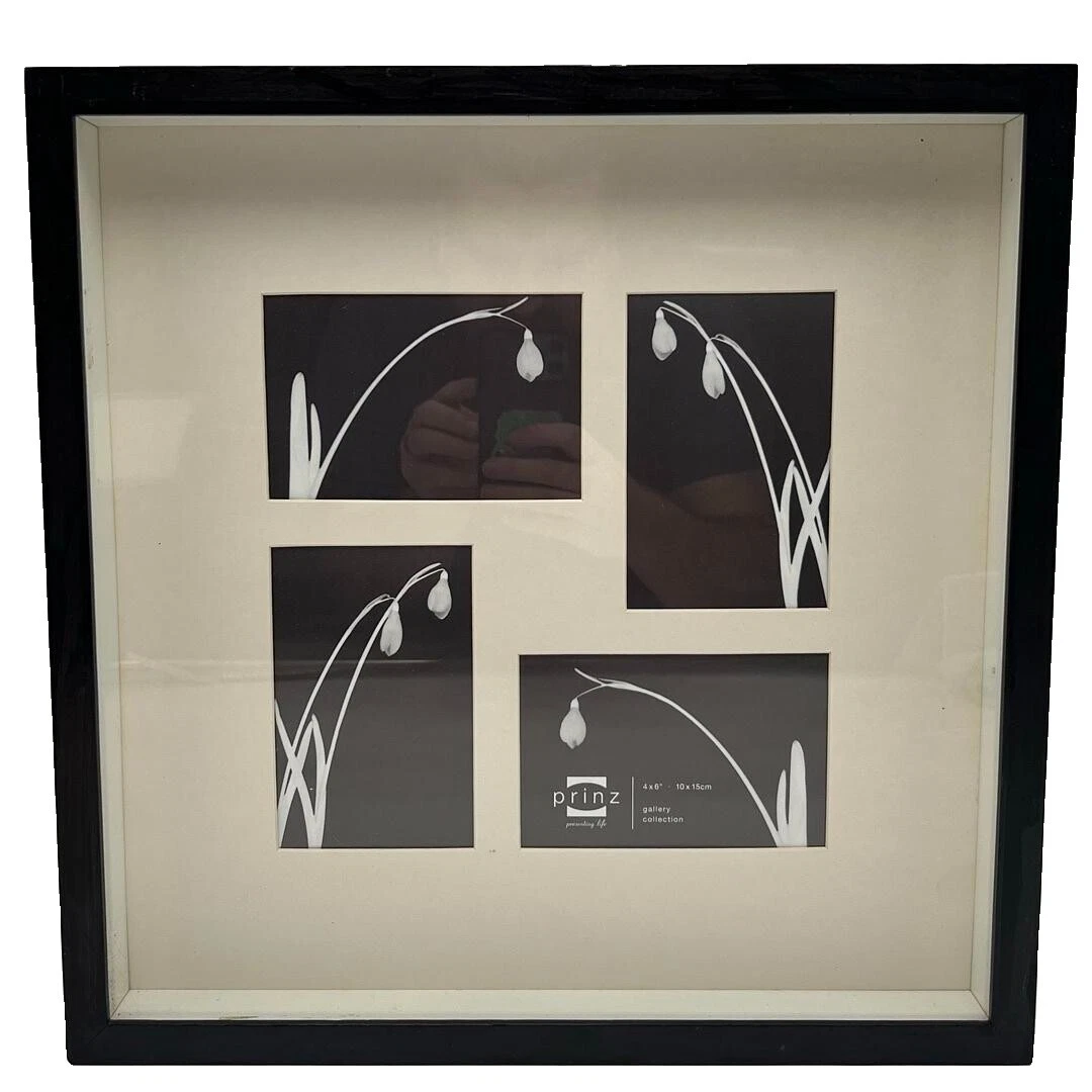 Marcos de vidrio Prinz