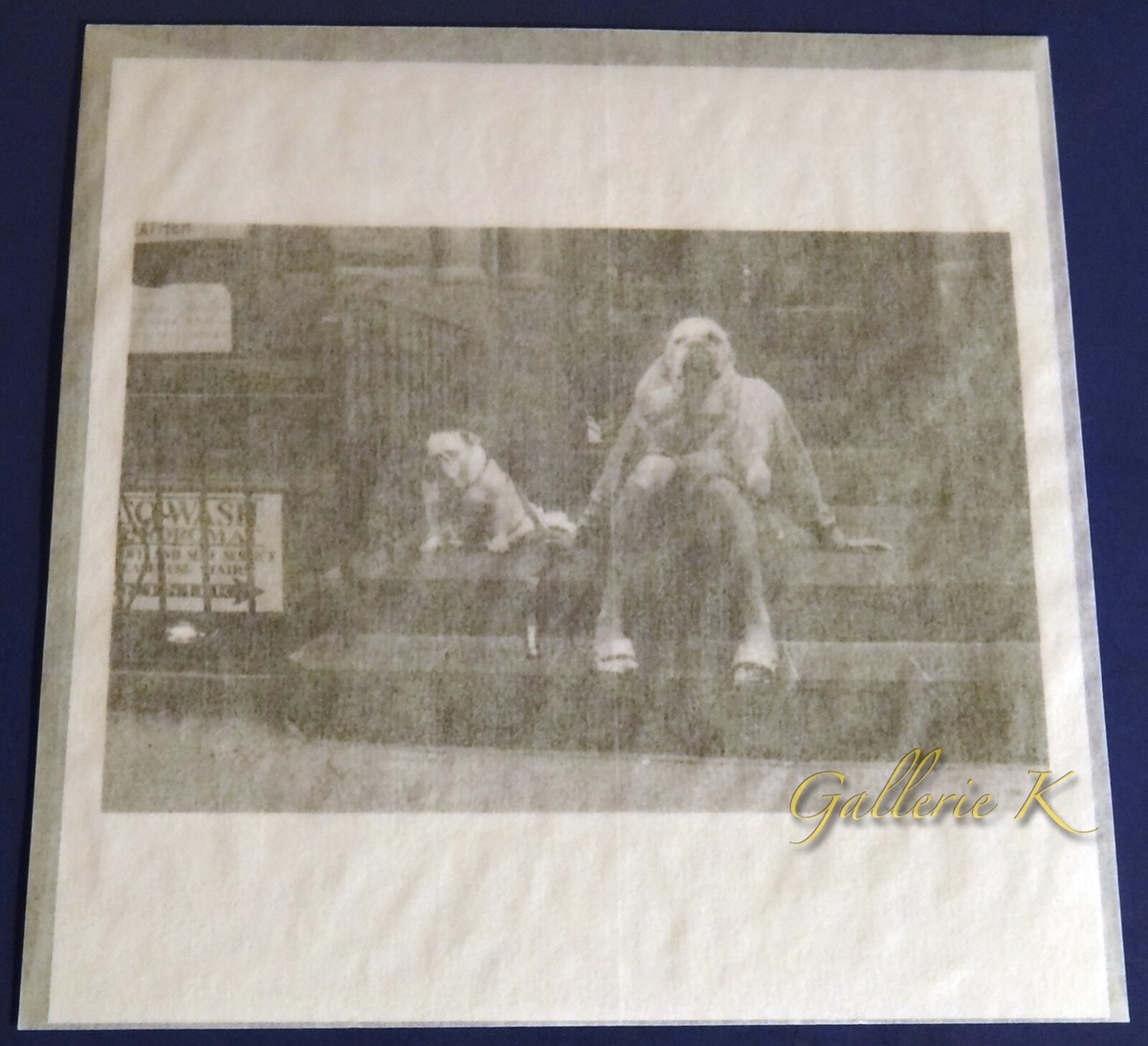 Elliott Erwitt UNSEEN サイン入り ELLIOTT ERWITT NEW YORK CITY DOGS LTD ED - HIS LAST SIGNED