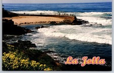 La Jolla California Postcard Children's Pool Beach Rocks Seals USA