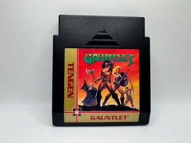 Gauntlet by Tengen NES No Manual