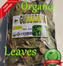Soursop leaves, soursop leaf, Natural organic graviola leaves for tea