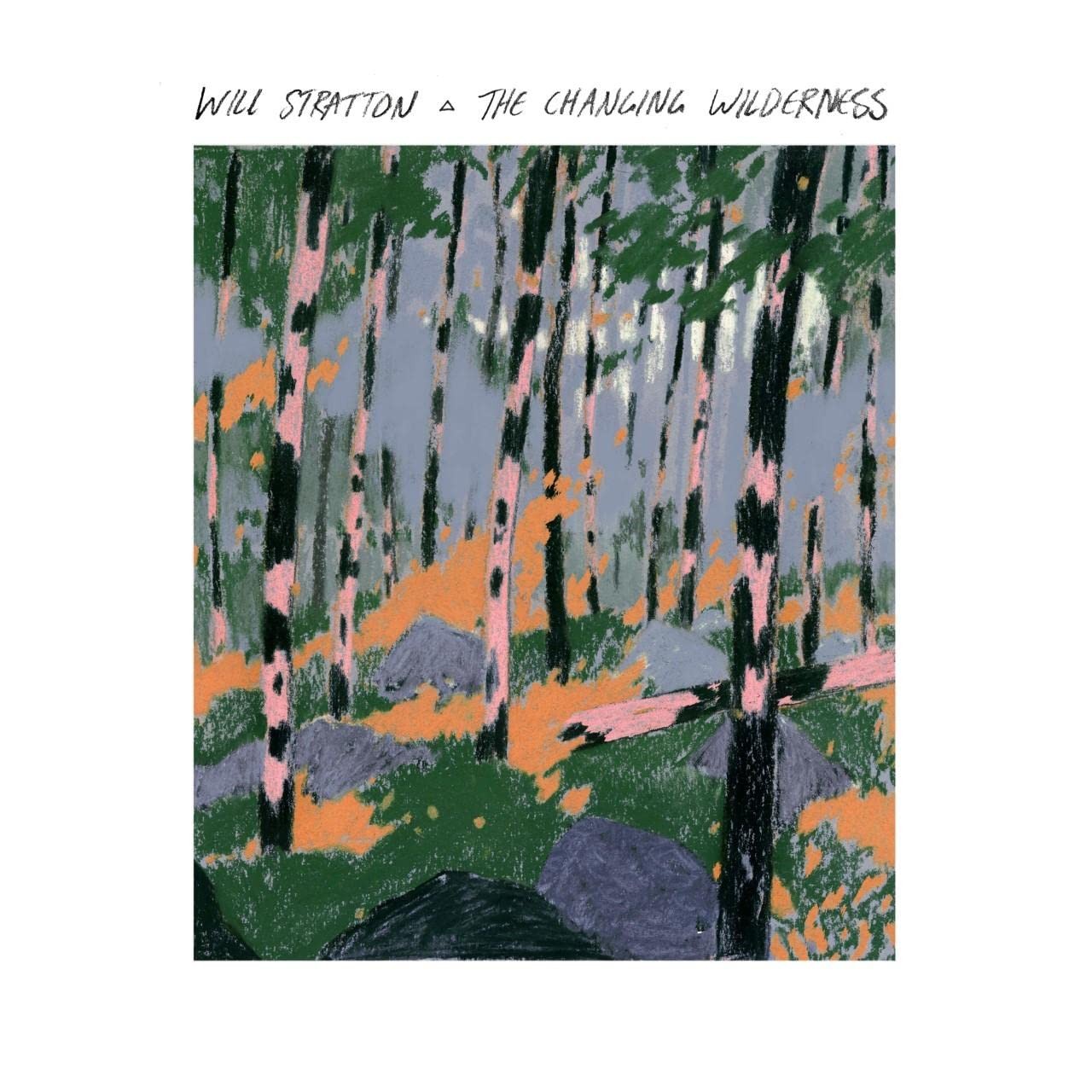Will Stratton Changing Wilderness LP Vinyl NEW