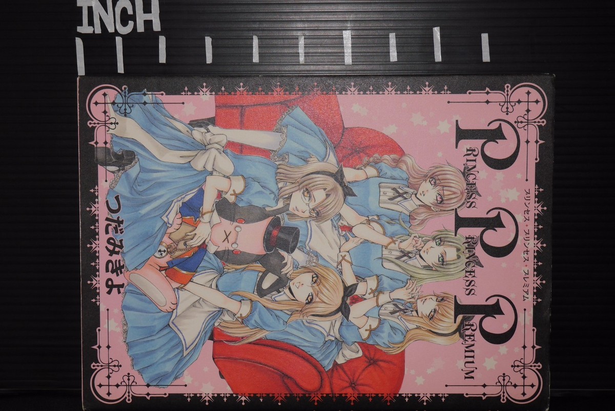 10 Years After～PRINCESS PRINCESS Premiu… Princess Princess/10 Years After Premium Box Cd Dvd Is In