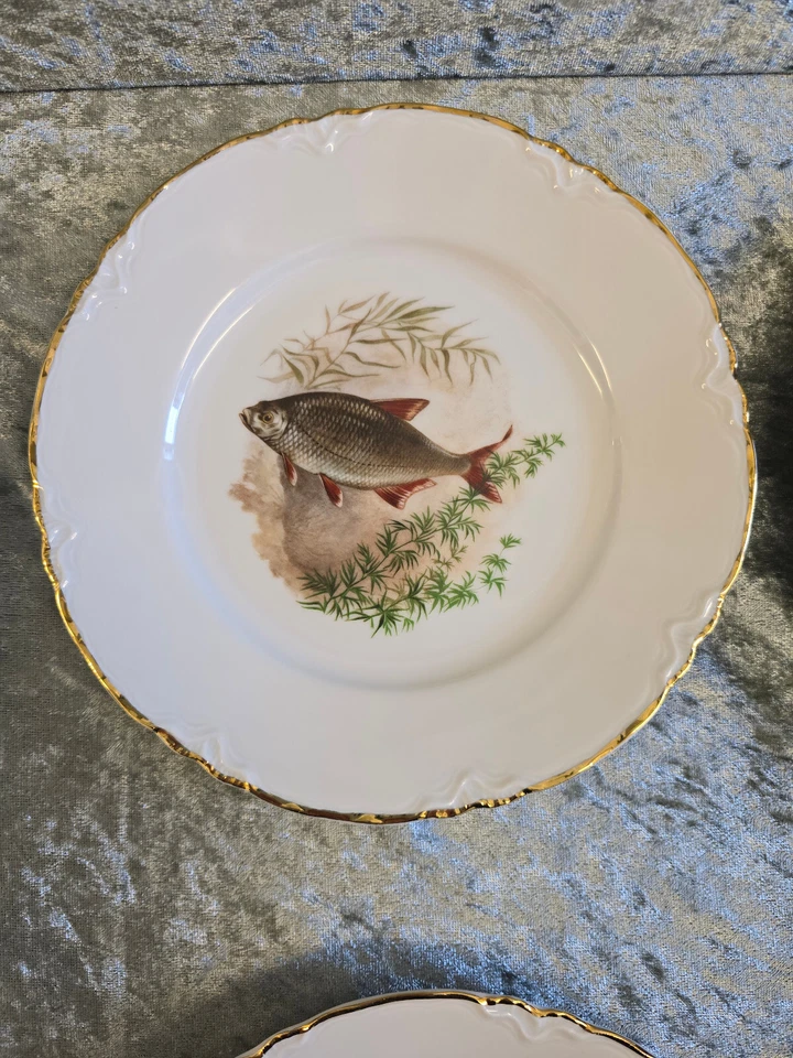 Hutschenreuther Fischteller 6 Stück 19,5 cm Fischdekor Goldrand - Bild 4 von 4