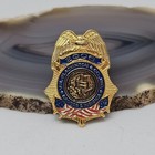Blackinton & Co Inc Badges & Insignia 2006 Lapel Pin — photo 6