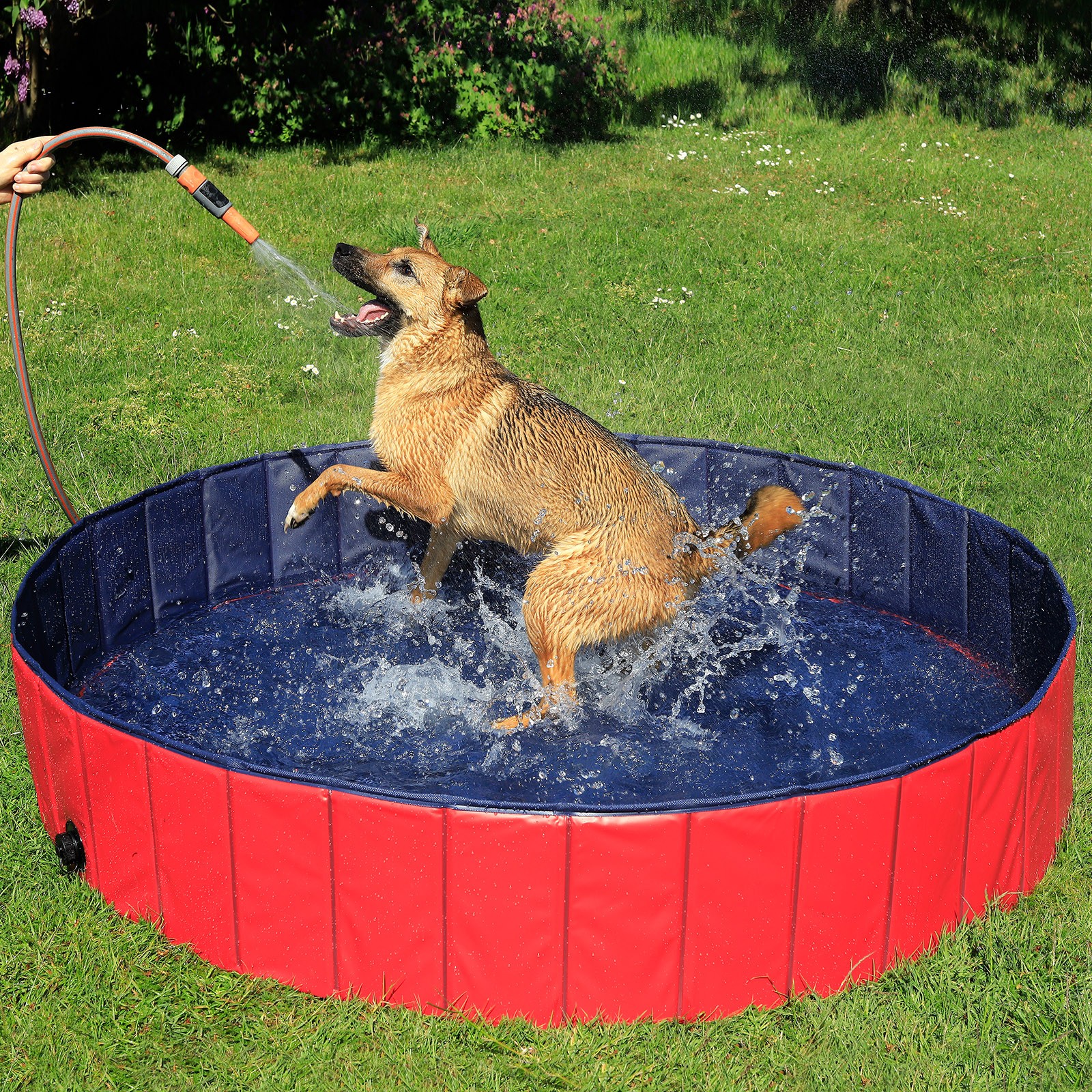 lionto Piscina plegable para perros bañera para perros piscina para mascotas