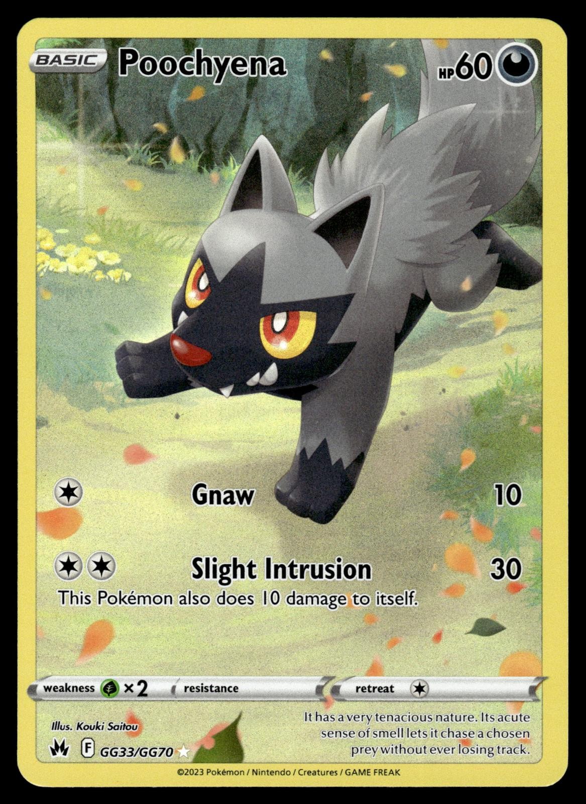 Poochyena GG33/GG70 Holo Crown Zenith Galarian Gallery Pokemon NM