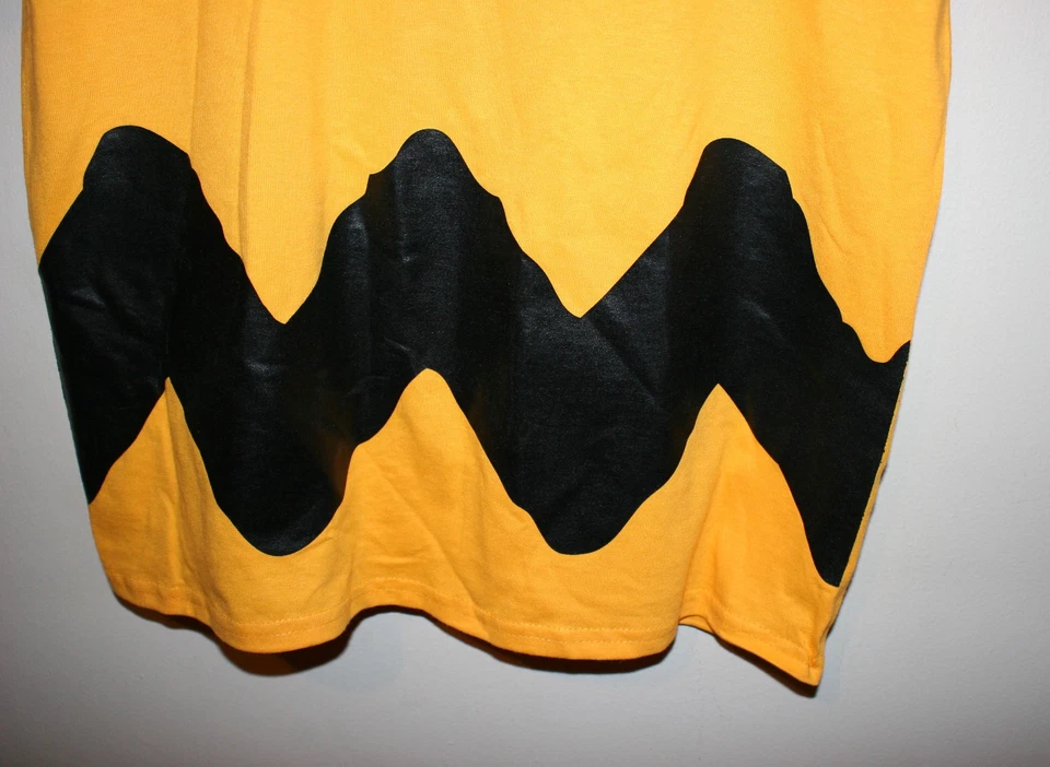 Gildan Jóvenes Niños Charlie Marrón Conjunto Camiseta Disfraz Amarillo Negro Grande 14/16 Foto 3 de 3