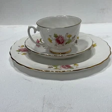 Vintage Royal Taunton Tea Cup, Saucer & Plate Floral Pattern Bone China England 