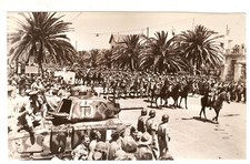 World War 2 Photo Military Parade Tank Palm Tree WW 2 5x7 inches