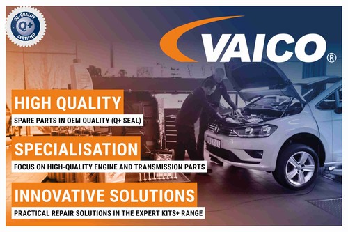 VAICO V20-3666 Zentralmagnet, Nockenwellenverstellung für BMW - Bild 2 von 12