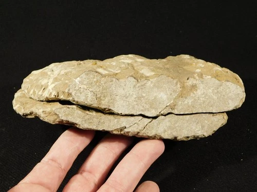 BIG! 530 Million Year OLD! Andalusiana Trilobite Fossil Anif Morocco 2482gr
