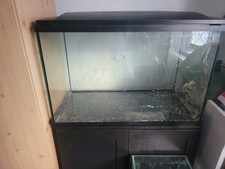 Large Fish Tank Aquarium