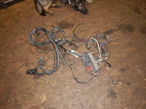 Jeep Yj Wiring Harness from i.ebayimg.com