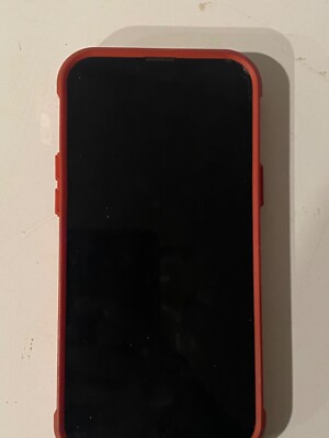 Apple iPhone 13 Pro Max  - 256 GB - Silver (Verizon) ''''TikTok DOWNLOADED''''