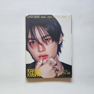 Streunende Kinder - Karma Album [Lee Know ver.]