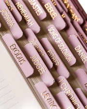 Bible Tabs for Women Study Bible, Gold Embossed Matte Catholic Bible Tabs Pin...