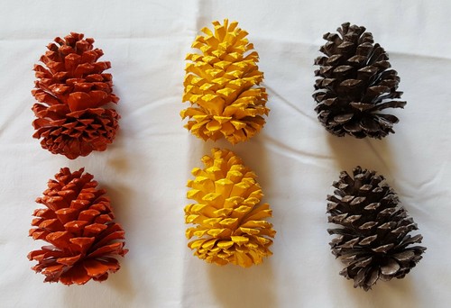 Lot of 6 Medium 3.5-4 inch Fall Color Pinecones for decoration crafts etc - Picture 4 of 5