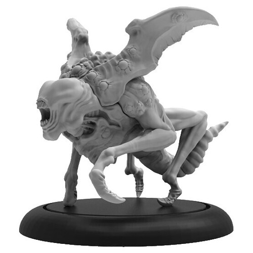 アート用品 【】Privateer Press Warmachine : Cygnar Lieutenant
